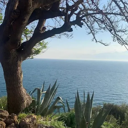 A Beautiful With Free Parking דירה
